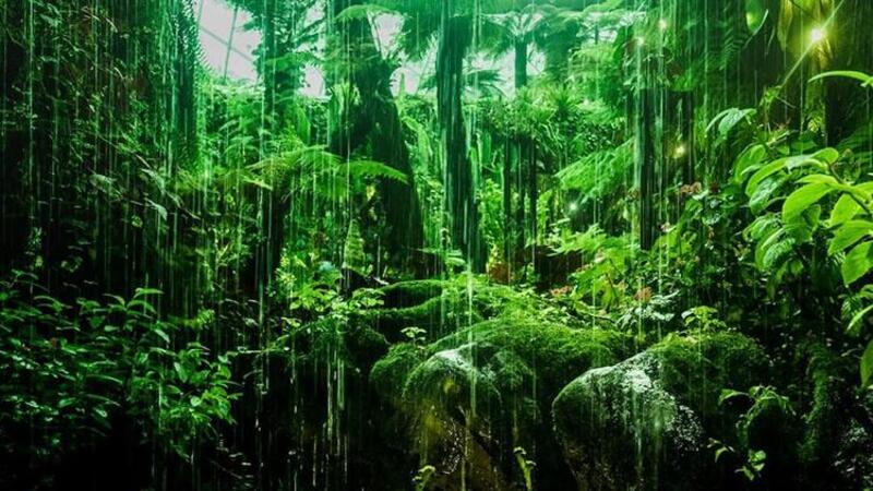 Khu vực gần đường xích đạo thường nóng ẩm, mưa nhiều và có hệ sinh thái nhiệt đới phong phú. 