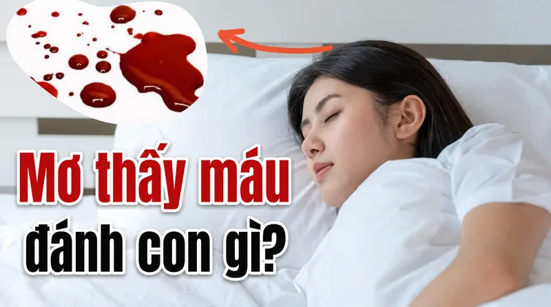 Khi mơ thấy máu, nên bình tĩnh nhìn lại cảm xúc và bối cảnh sống thay vì vội lo sợ.